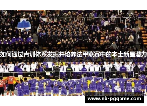 如何通过青训体系发掘并培养法甲联赛中的本土新星潜力