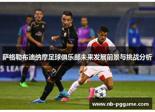萨格勒布迪纳摩足球俱乐部未来发展前景与挑战分析