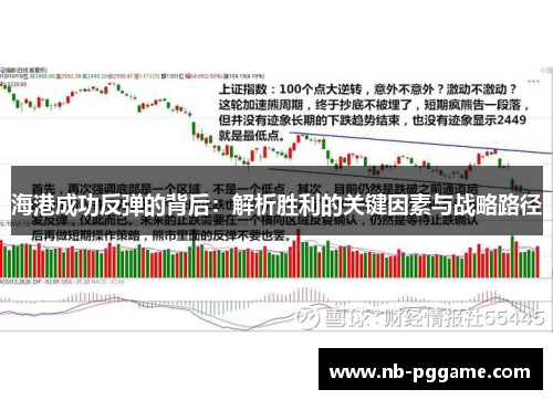 海港成功反弹的背后：解析胜利的关键因素与战略路径